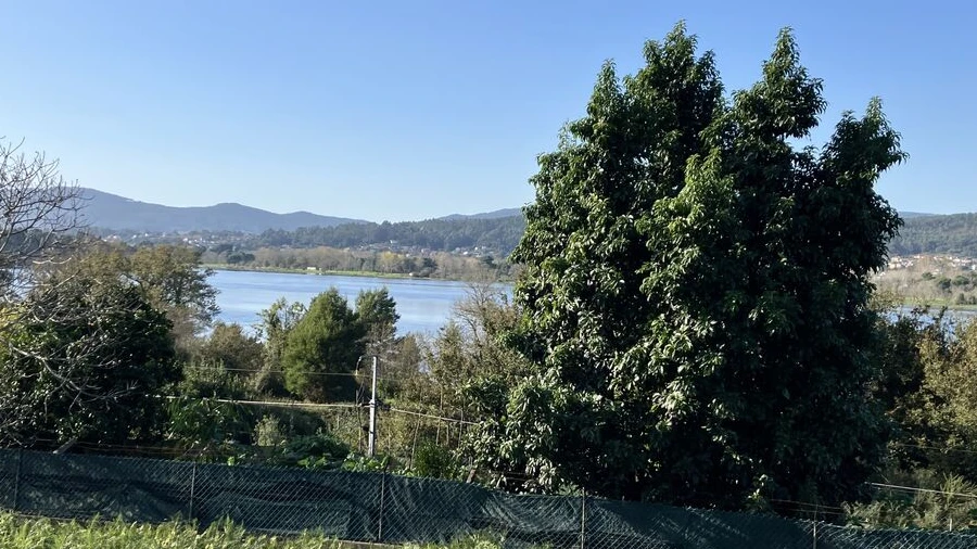 Terreno para Venda em Lanhelas