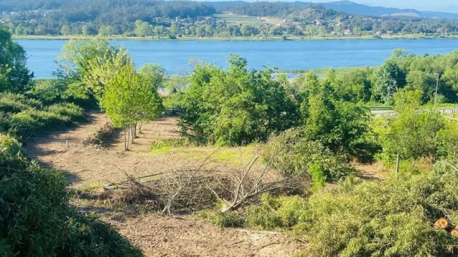 Terreno para Venda em Lanhelas