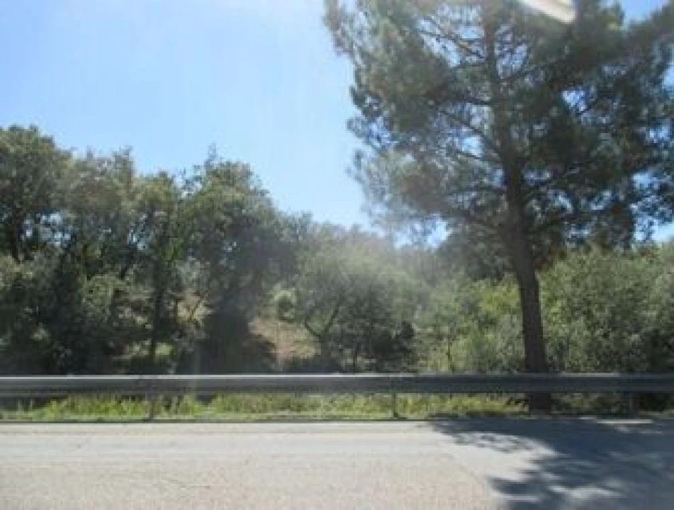 Terreno para Venda em Soure Foto 5