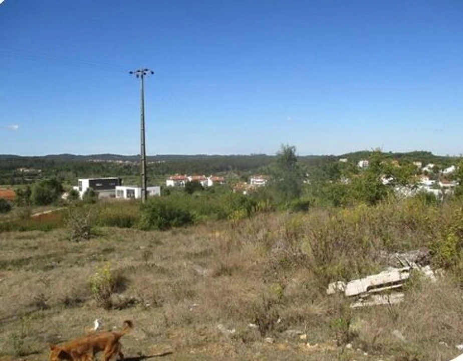 Terreno para Venda em Soure Foto 1