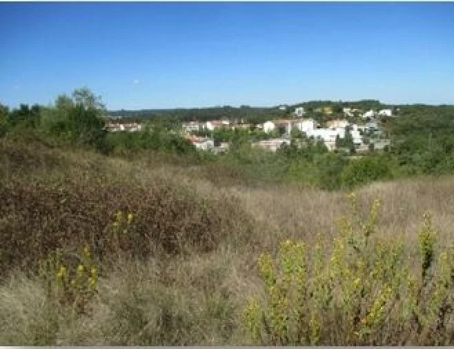 Terreno para Venda em Soure Foto 3