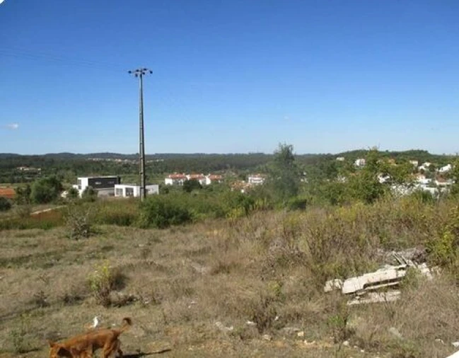 Terreno para Venda em Soure Foto 1