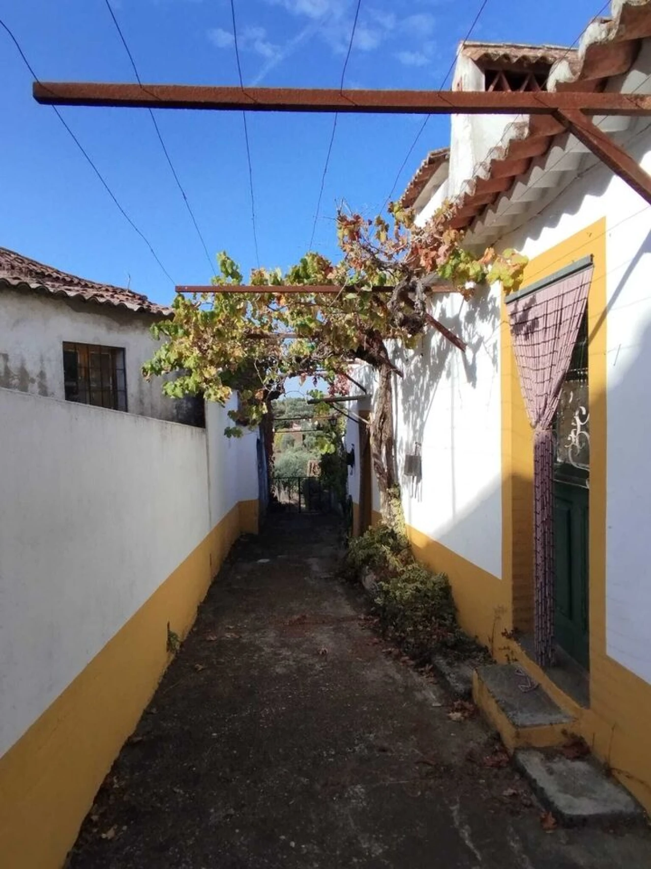 Quinta T2 para Venda em Mouriscas Foto 3