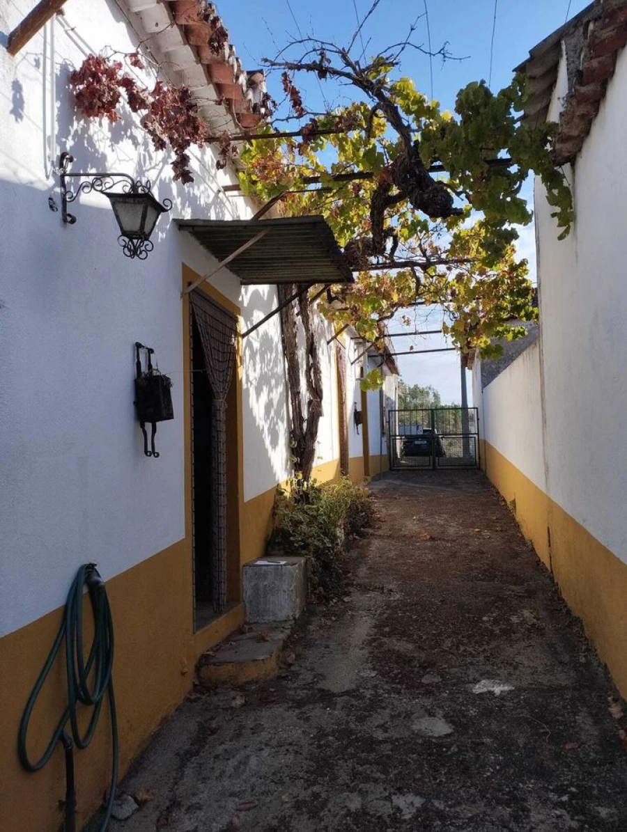 Quinta T2 para Venda em Mouriscas Foto 2