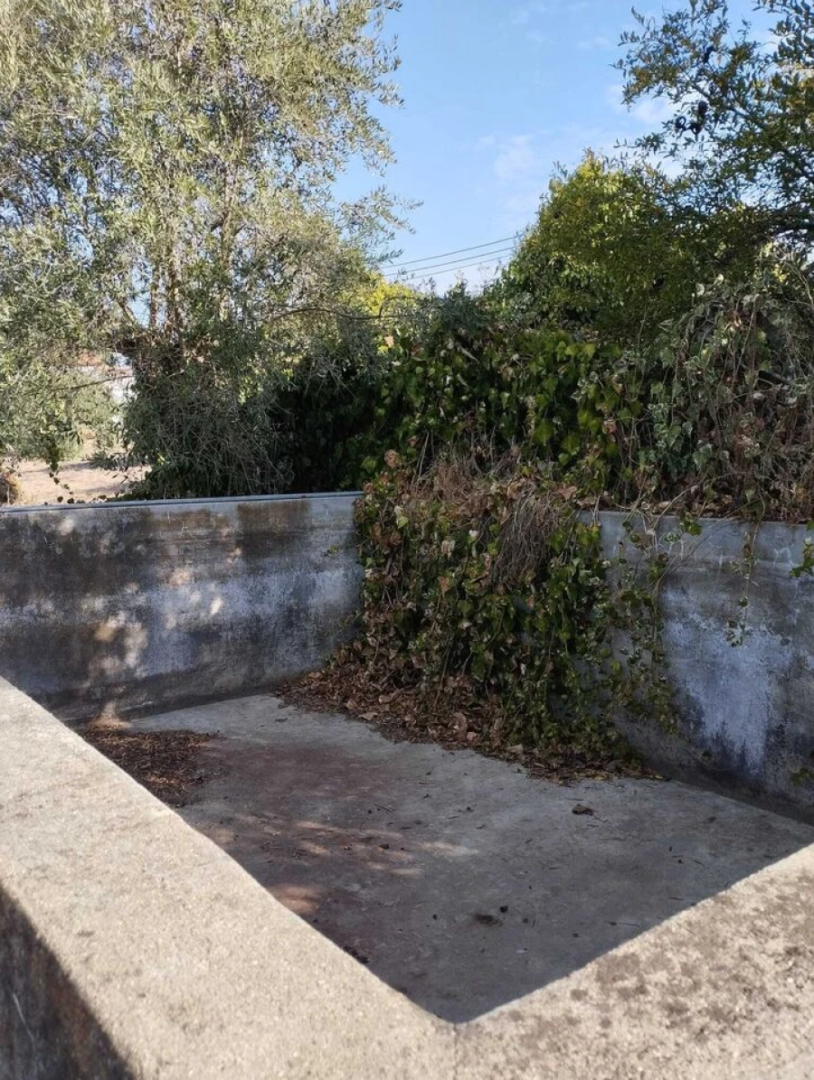 Quinta T2 para Venda em Mouriscas Foto 9