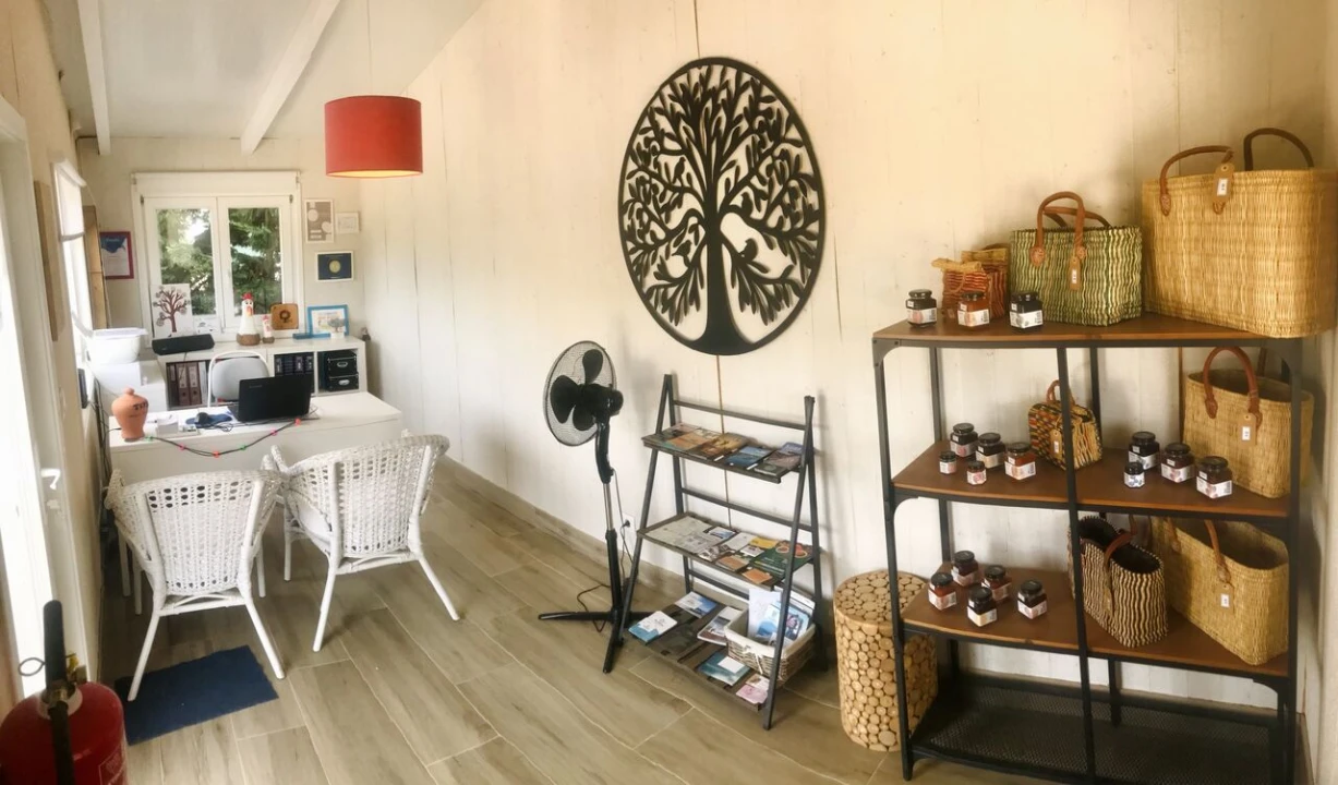 Quinta T18 para Venda em São Teotónio Foto 38