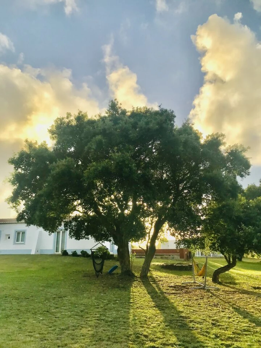 Quinta T18 para Venda em São Teotónio Foto 61