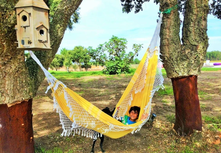 Quinta T18 para Venda em São Teotónio Foto 75