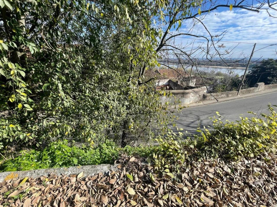 Terreno para Venda em Marvila, Ribeira Santarém, São Salvador, São Nicolau Foto 4