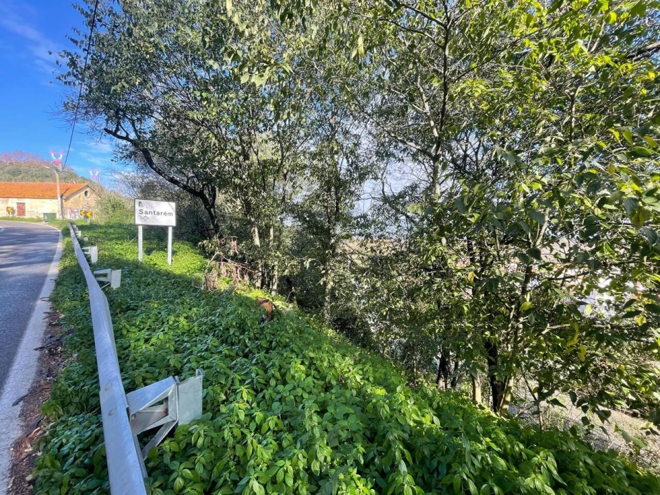Terreno para Venda em Marvila, Ribeira Santarém, São Salvador, São Nicolau Foto 7