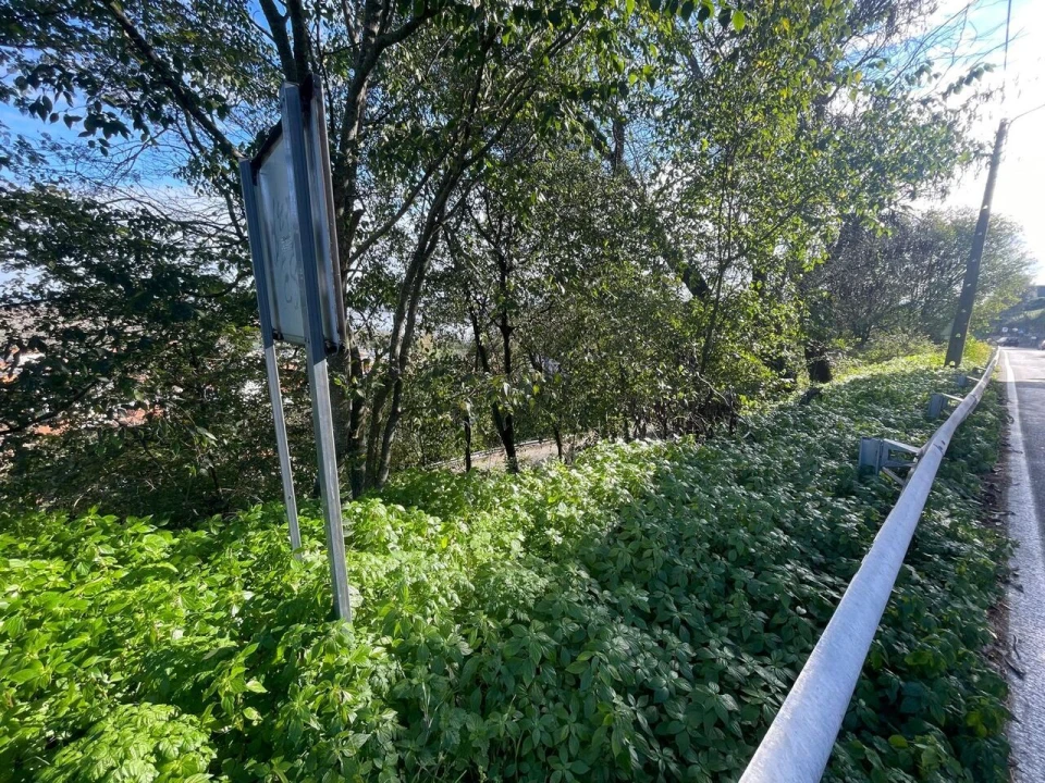 Terreno para Venda em Marvila, Ribeira Santarém, São Salvador, São Nicolau Foto 9