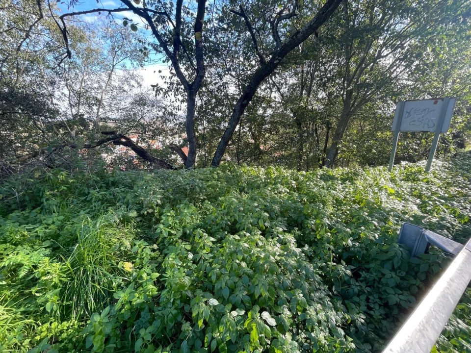 Terreno para Venda em Marvila, Ribeira Santarém, São Salvador, São Nicolau Foto 10