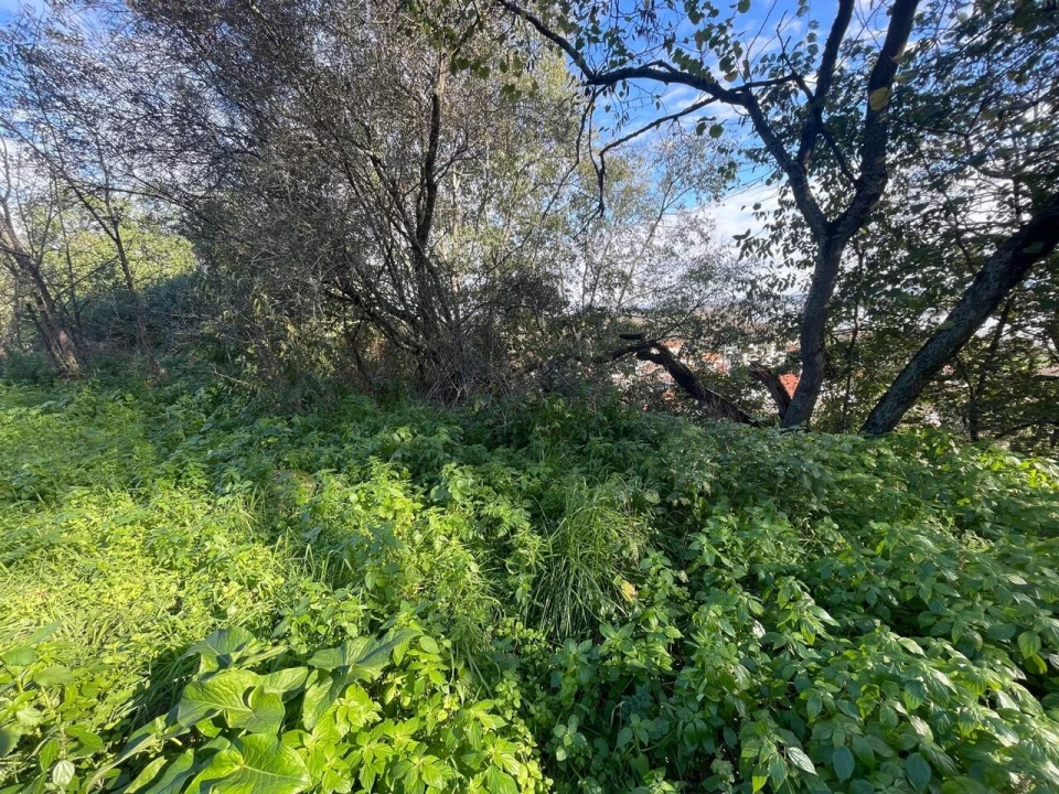 Terreno para Venda em Marvila, Ribeira Santarém, São Salvador, São Nicolau Foto 11