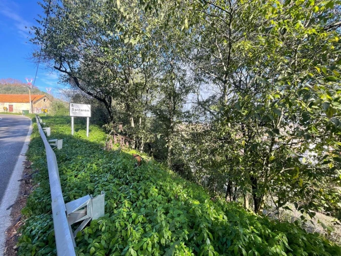 Terreno para Venda em Marvila, Ribeira Santarém, São Salvador, São Nicolau Foto 7