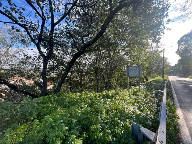 Terreno para Venda em Marvila, Ribeira Santarém, São Salvador, São Nicolau Foto 8