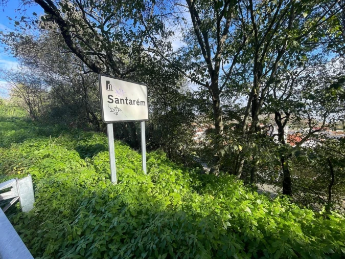 Terreno para Venda em Marvila, Ribeira Santarém, São Salvador, São Nicolau Foto 3