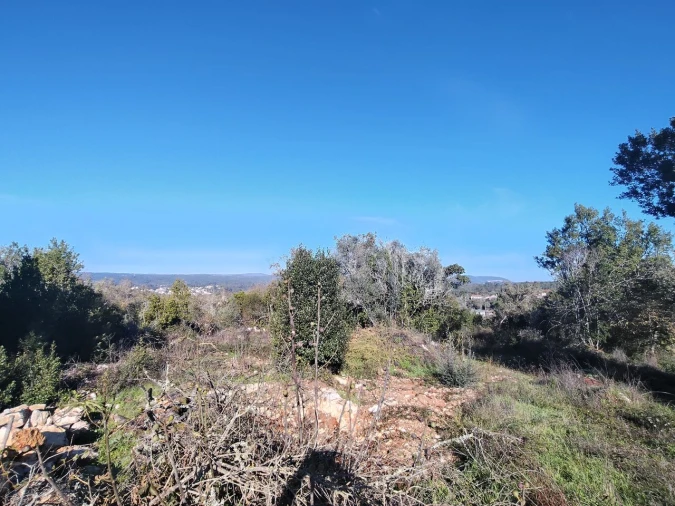 Terreno para Venda em Ansião