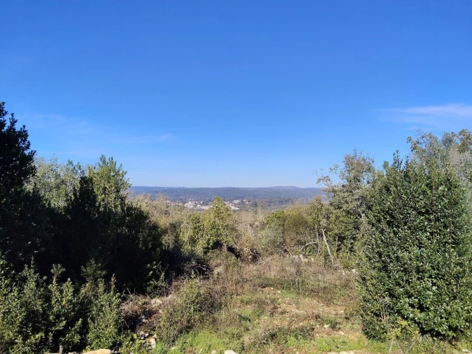 Terreno para Venda em Ansião Foto 4