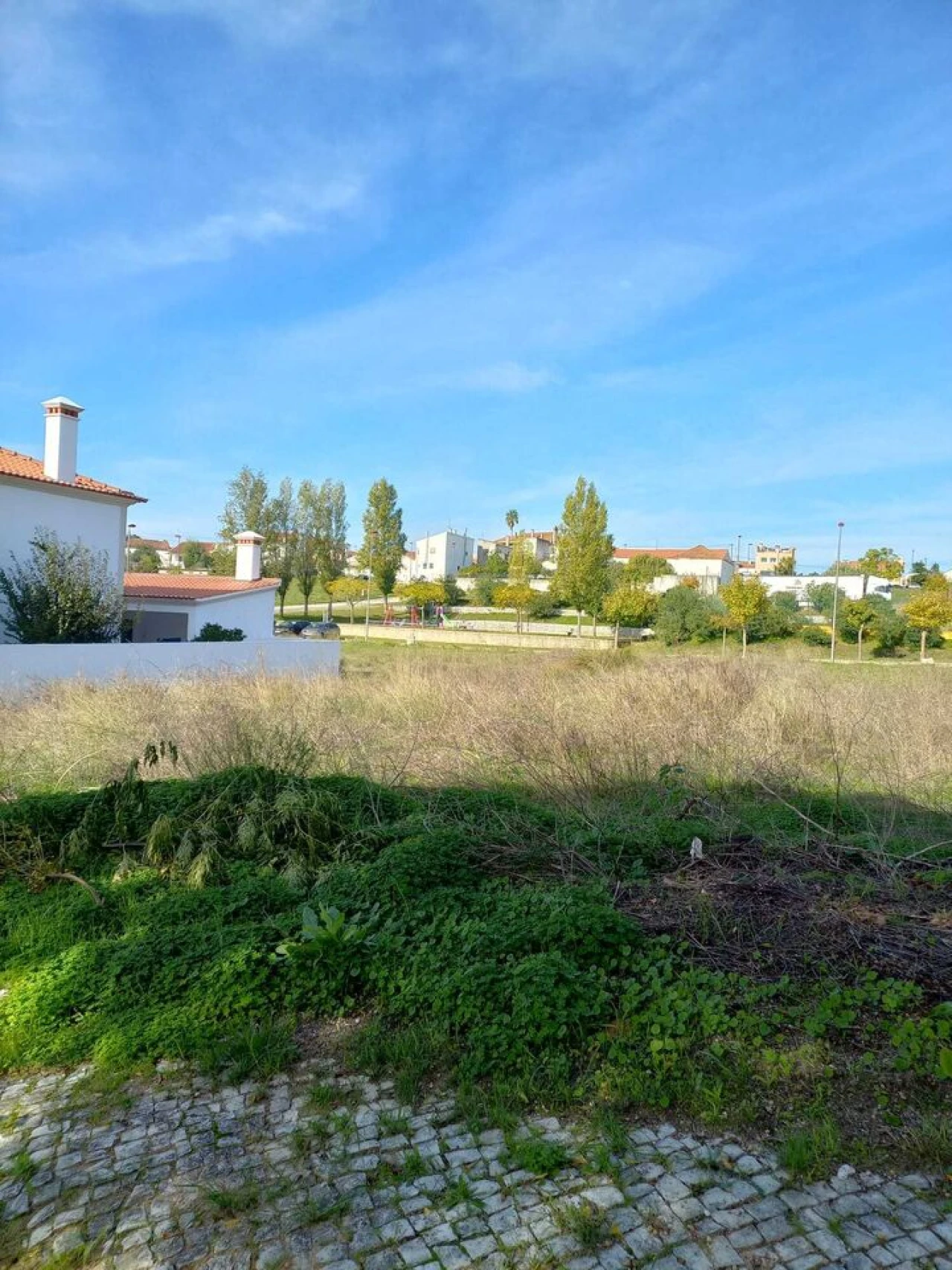 Terreno para Venda em Meia Via Foto 2