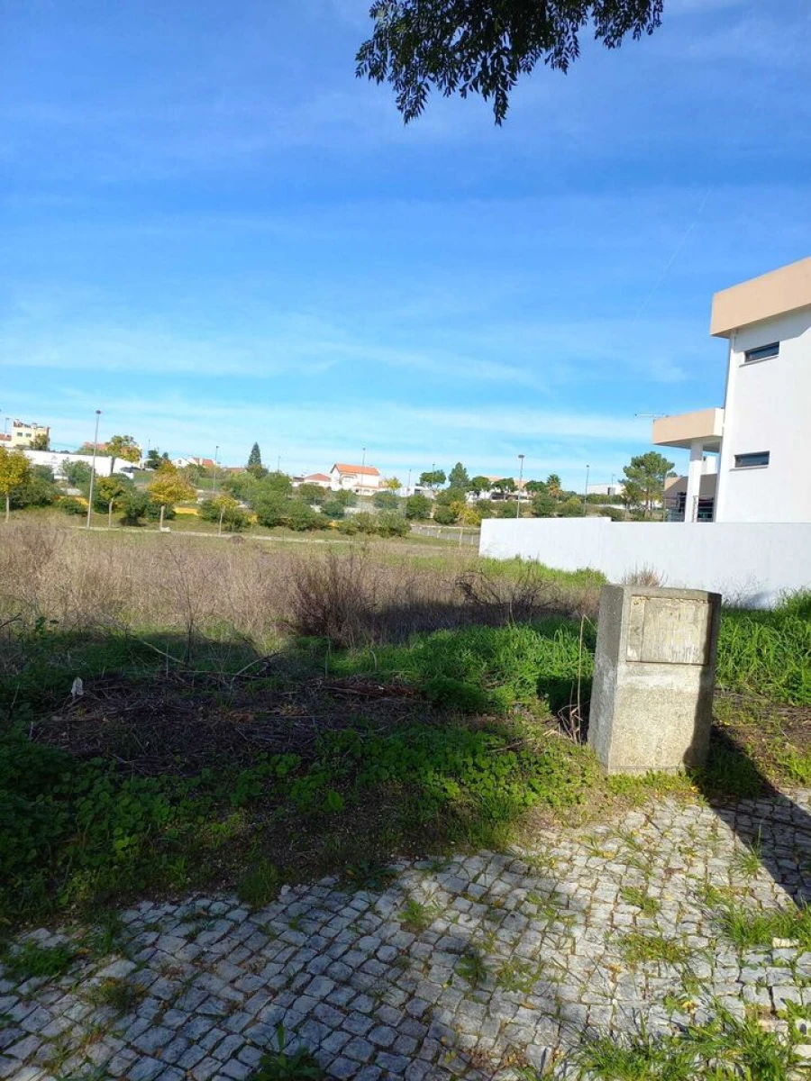 Terreno para Venda em Meia Via Foto 3