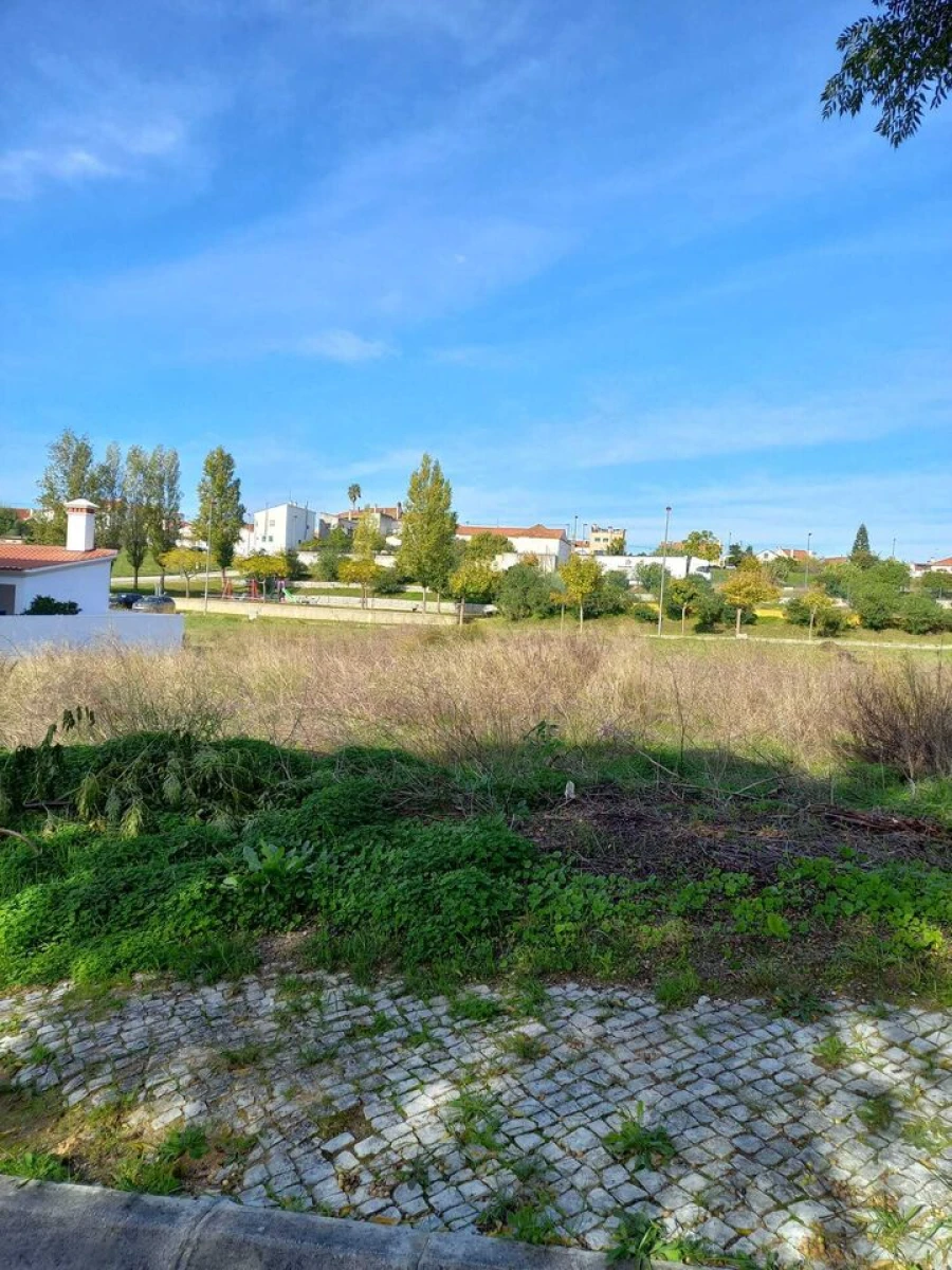 Terreno para Venda em Meia Via Foto 4