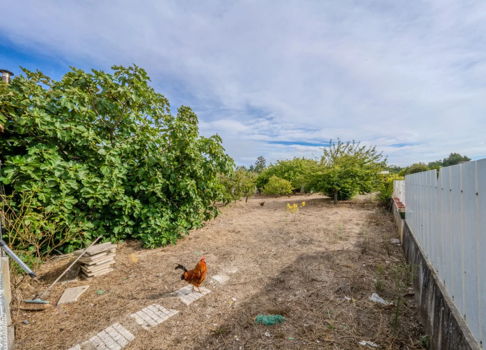 Moradia T4 para Venda em Maiorca Foto 23