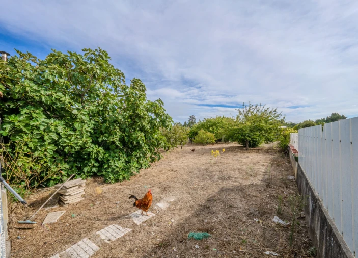 Moradia T4 para Venda em Maiorca Foto 23