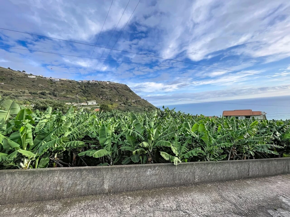 Terreno para Venda em Arco da Calheta Foto 8