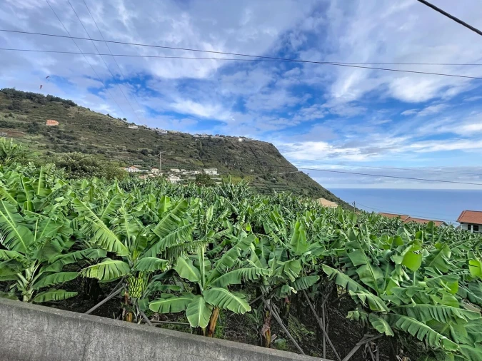 Terreno para Venda em Arco da Calheta Foto 6