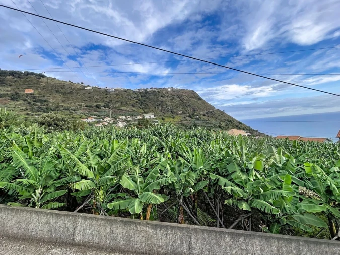 Terreno para Venda em Arco da Calheta Foto 7