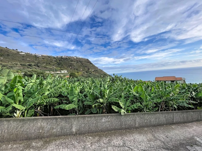 Terreno para Venda em Arco da Calheta Foto 8
