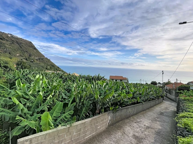 Terreno para Venda em Arco da Calheta Foto 9