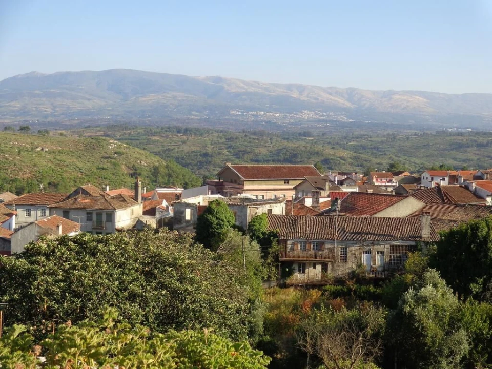 Negócio para Venda em Abrunhosa-A-Velha Foto 12