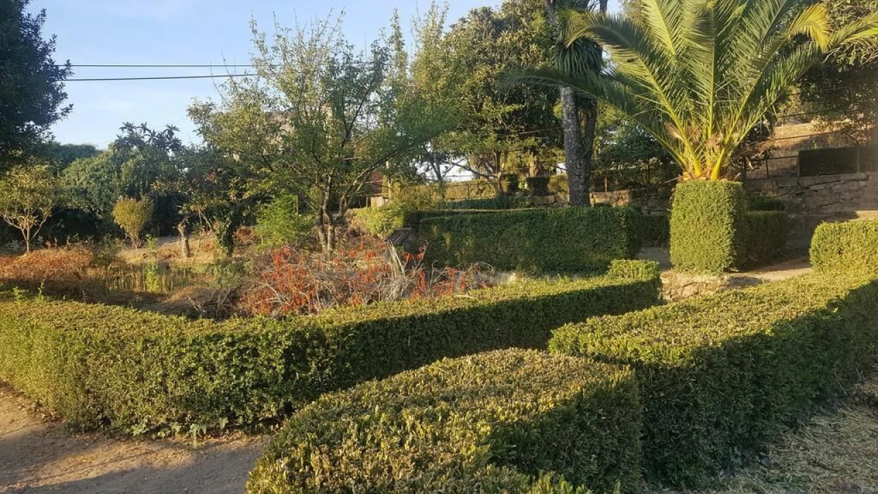 Negócio para Venda em Abrunhosa-A-Velha Foto 22