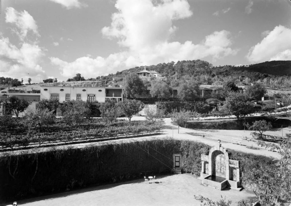 Negócio para Venda em Abrunhosa-A-Velha Foto 46