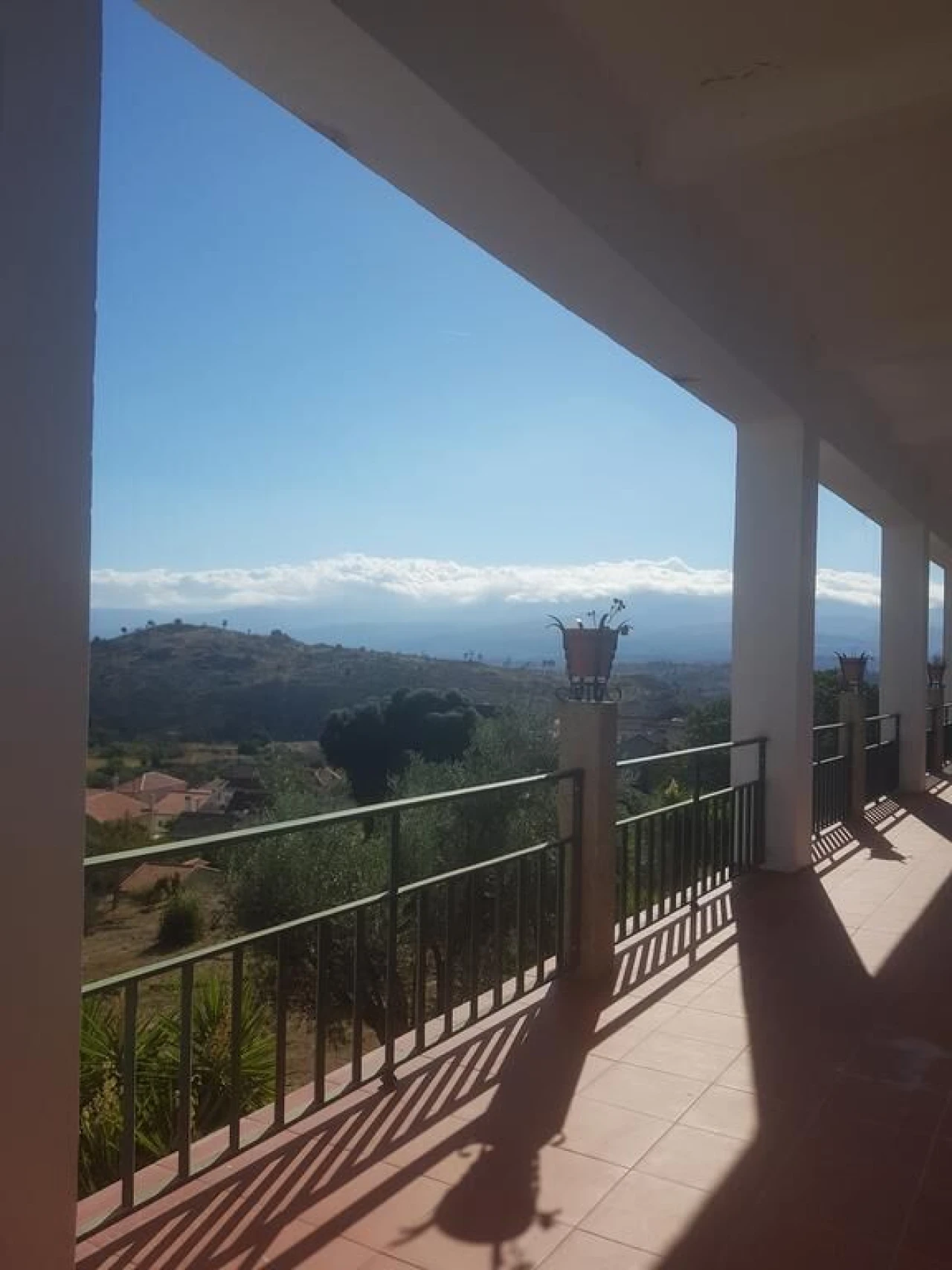 Negócio para Venda em Abrunhosa-A-Velha Foto 58