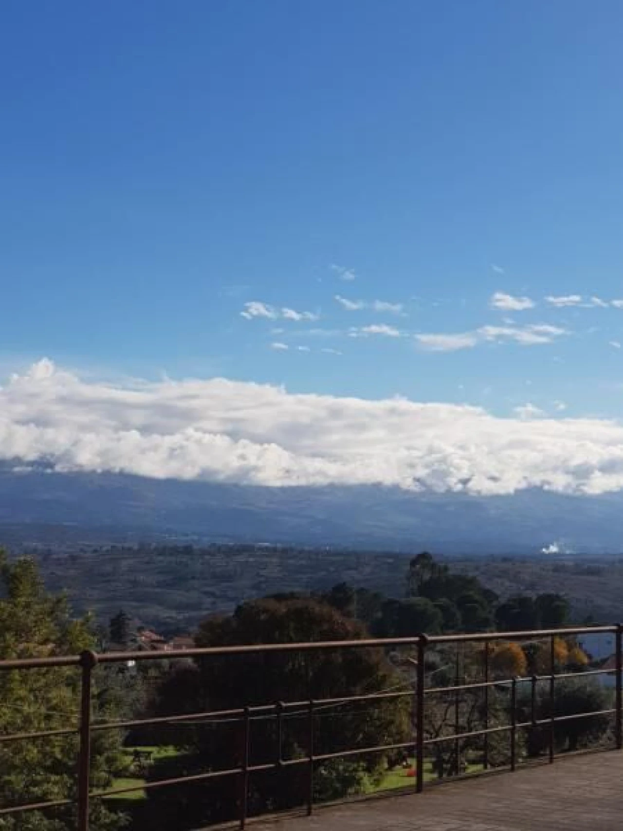 Negócio para Venda em Abrunhosa-A-Velha Foto 70