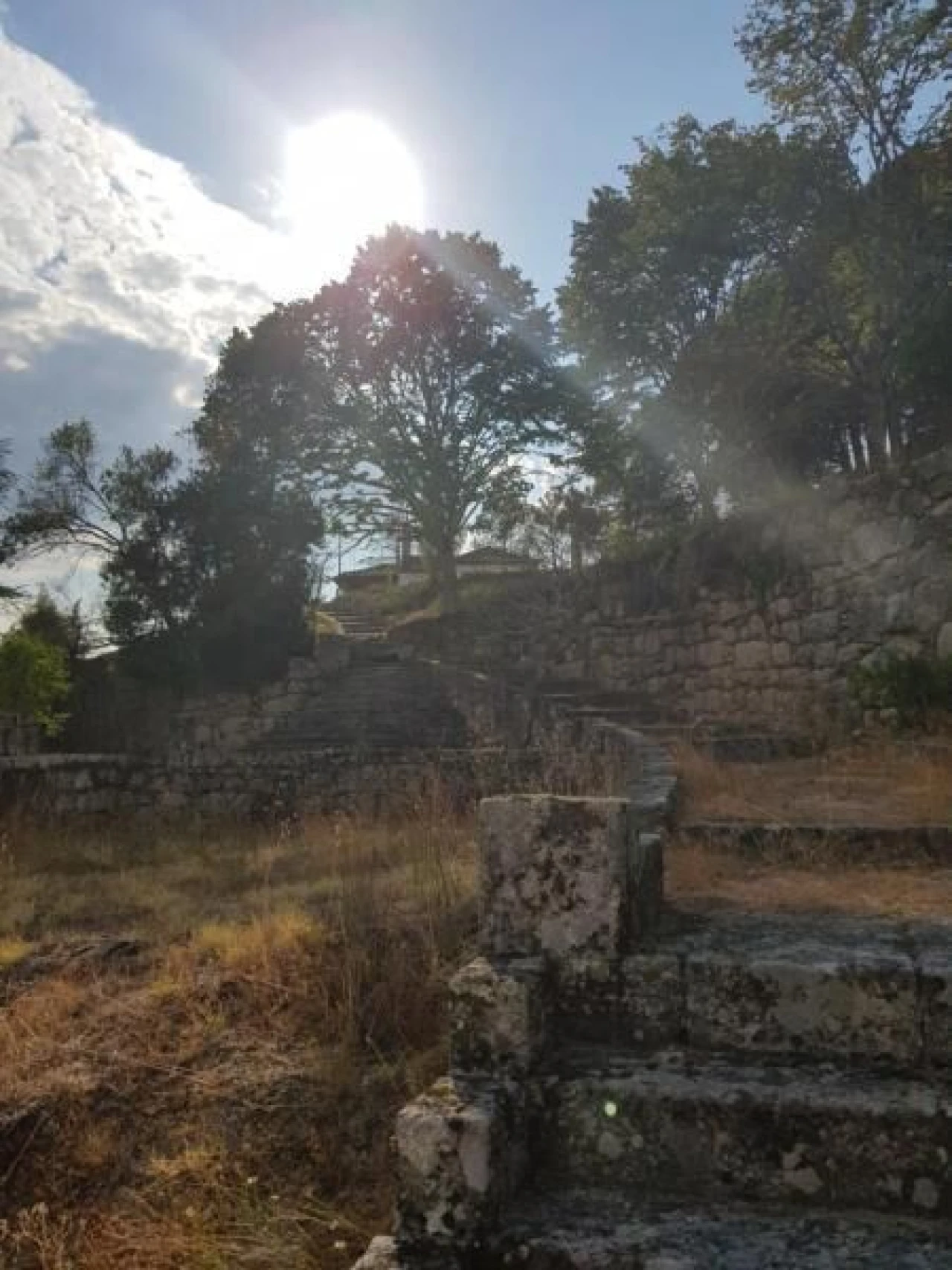 Negócio para Venda em Abrunhosa-A-Velha Foto 71