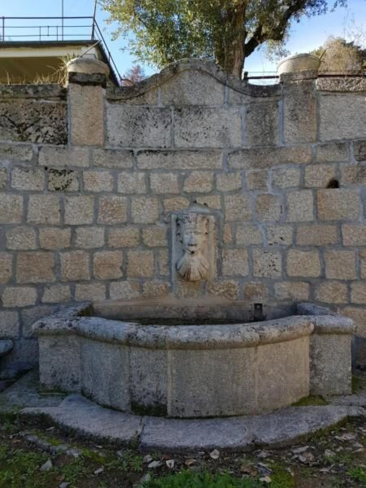 Negócio para Venda em Abrunhosa-A-Velha Foto 74