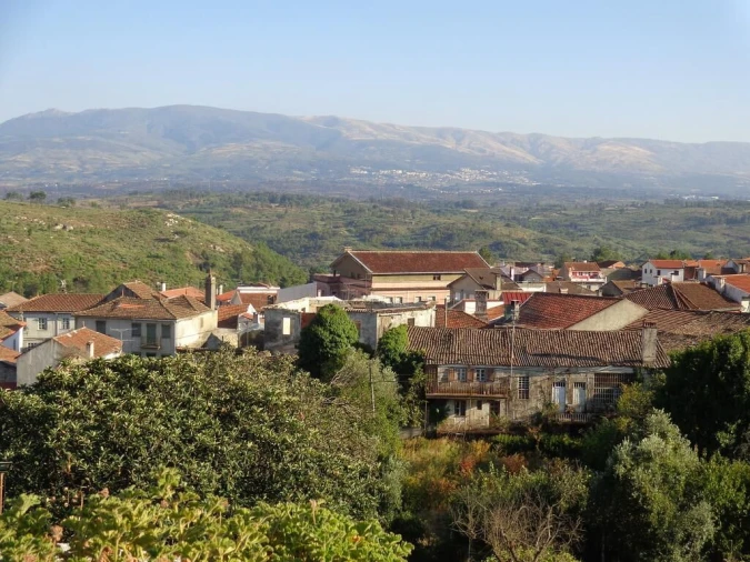 Negócio para Venda em Abrunhosa-A-Velha Foto 12