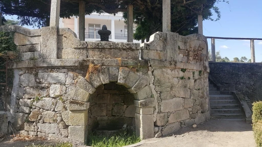 Negócio para Venda em Abrunhosa-A-Velha Foto 18