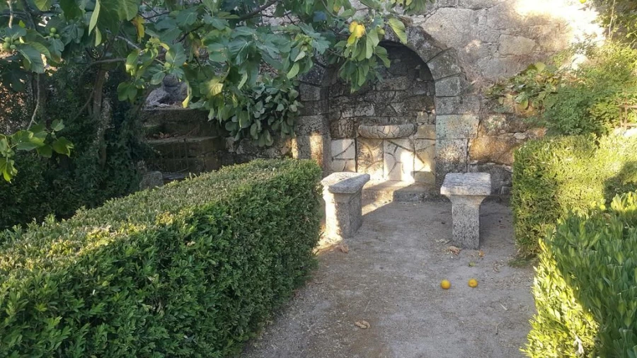 Negócio para Venda em Abrunhosa-A-Velha Foto 19