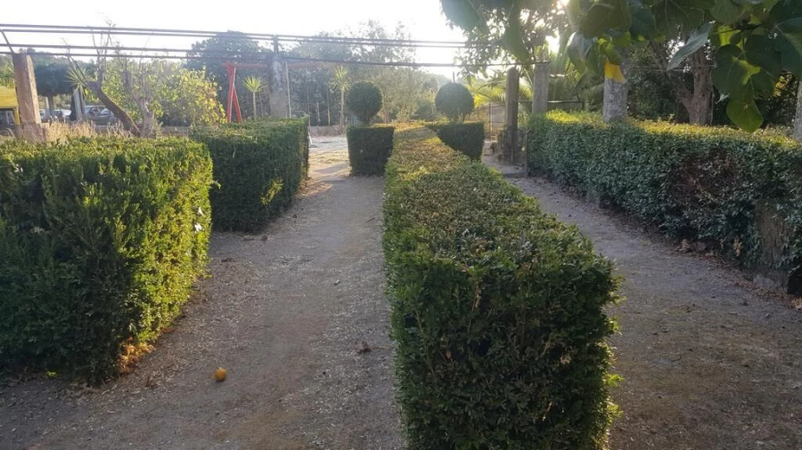 Negócio para Venda em Abrunhosa-A-Velha Foto 20