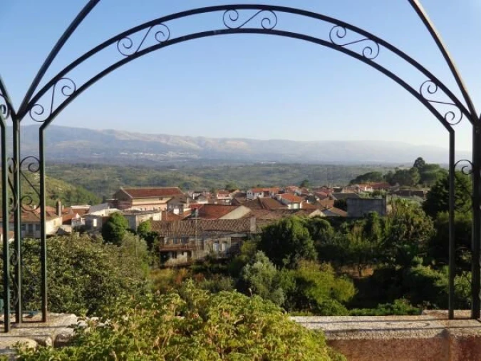 Negócio para Venda em Abrunhosa-A-Velha Foto 32