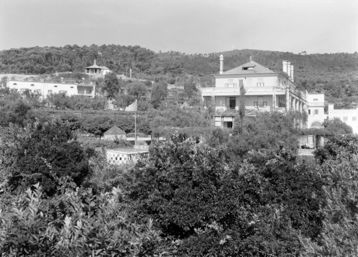 Negócio para Venda em Abrunhosa-A-Velha Foto 47