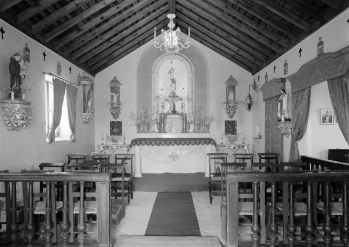 Negócio para Venda em Abrunhosa-A-Velha Foto 51