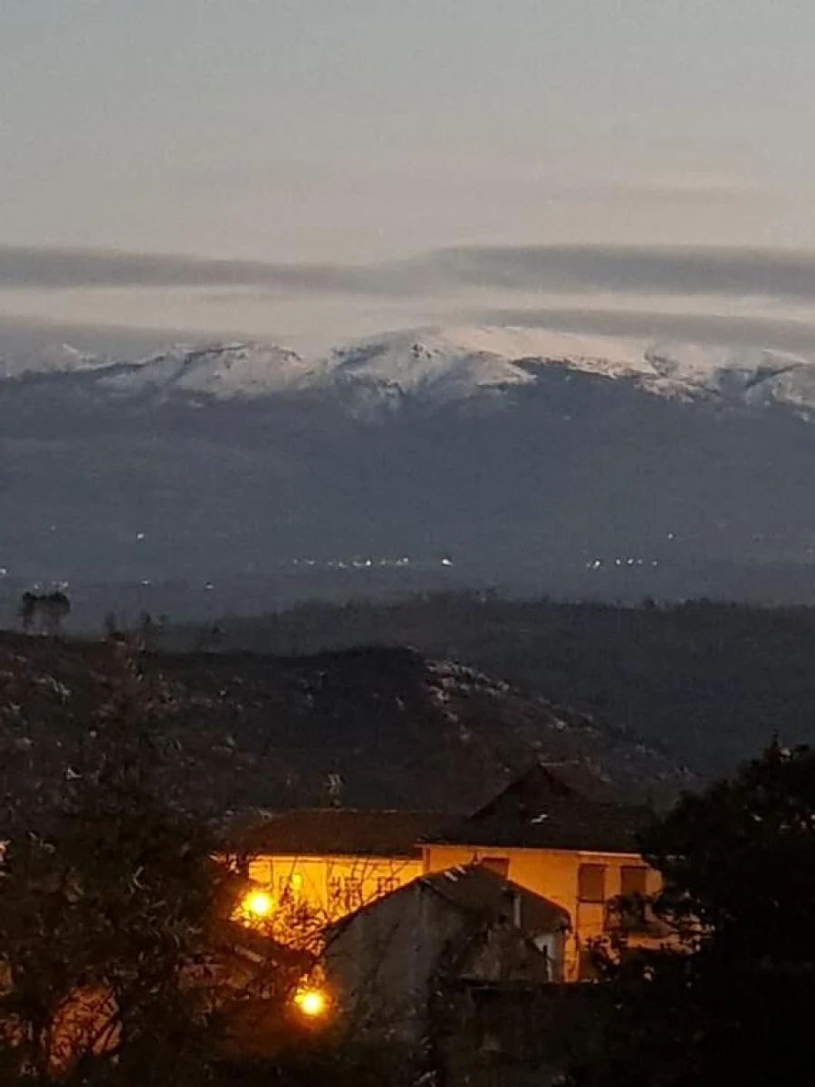 Negócio para Venda em Abrunhosa-A-Velha Foto 57
