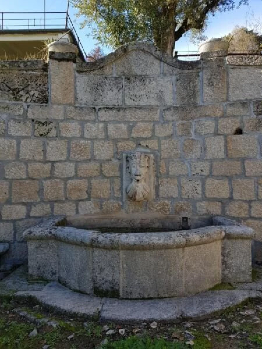 Negócio para Venda em Abrunhosa-A-Velha Foto 74