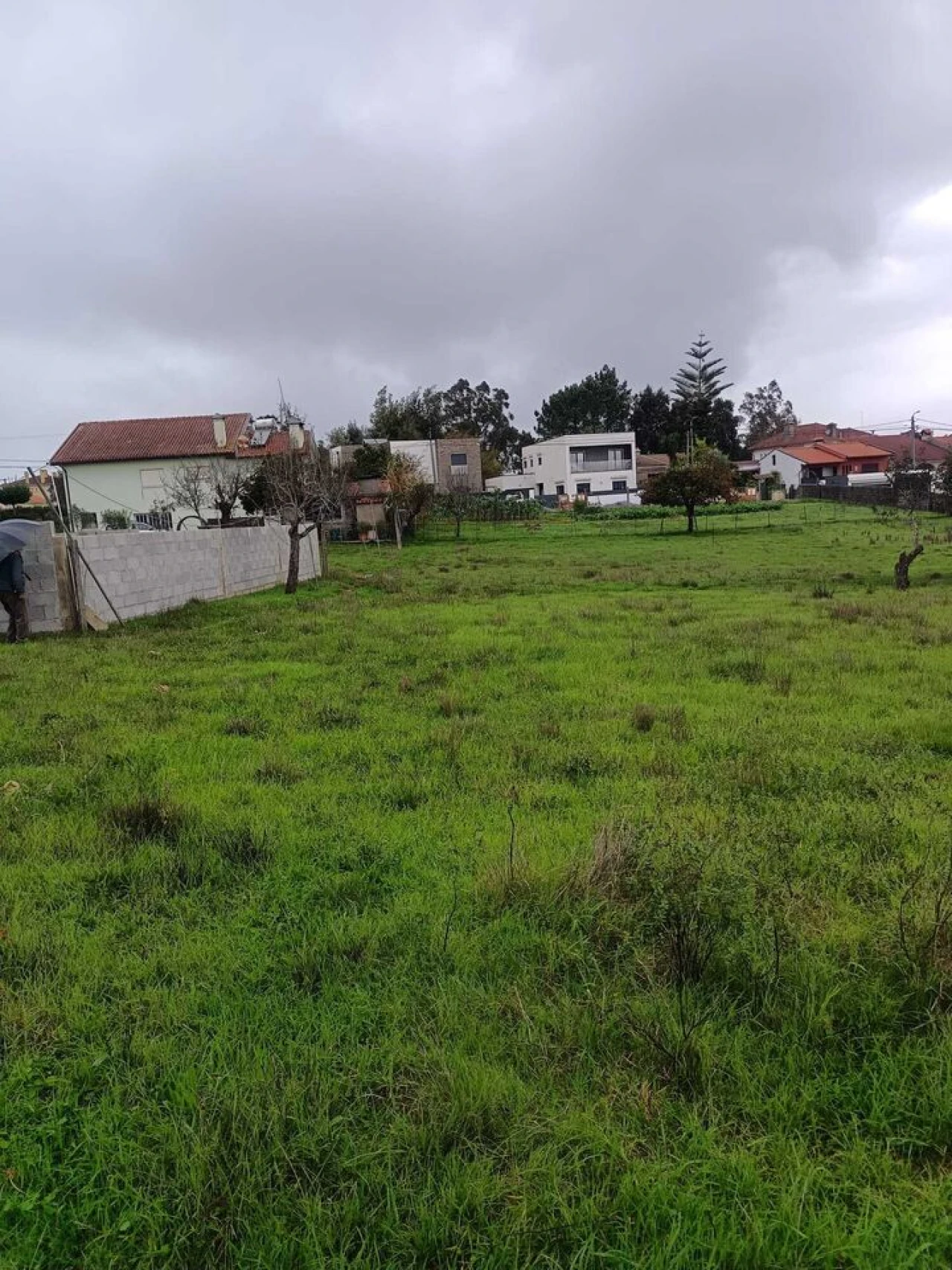 Terreno para Venda em Albergaria-A-Velha e Valmaior Foto 3