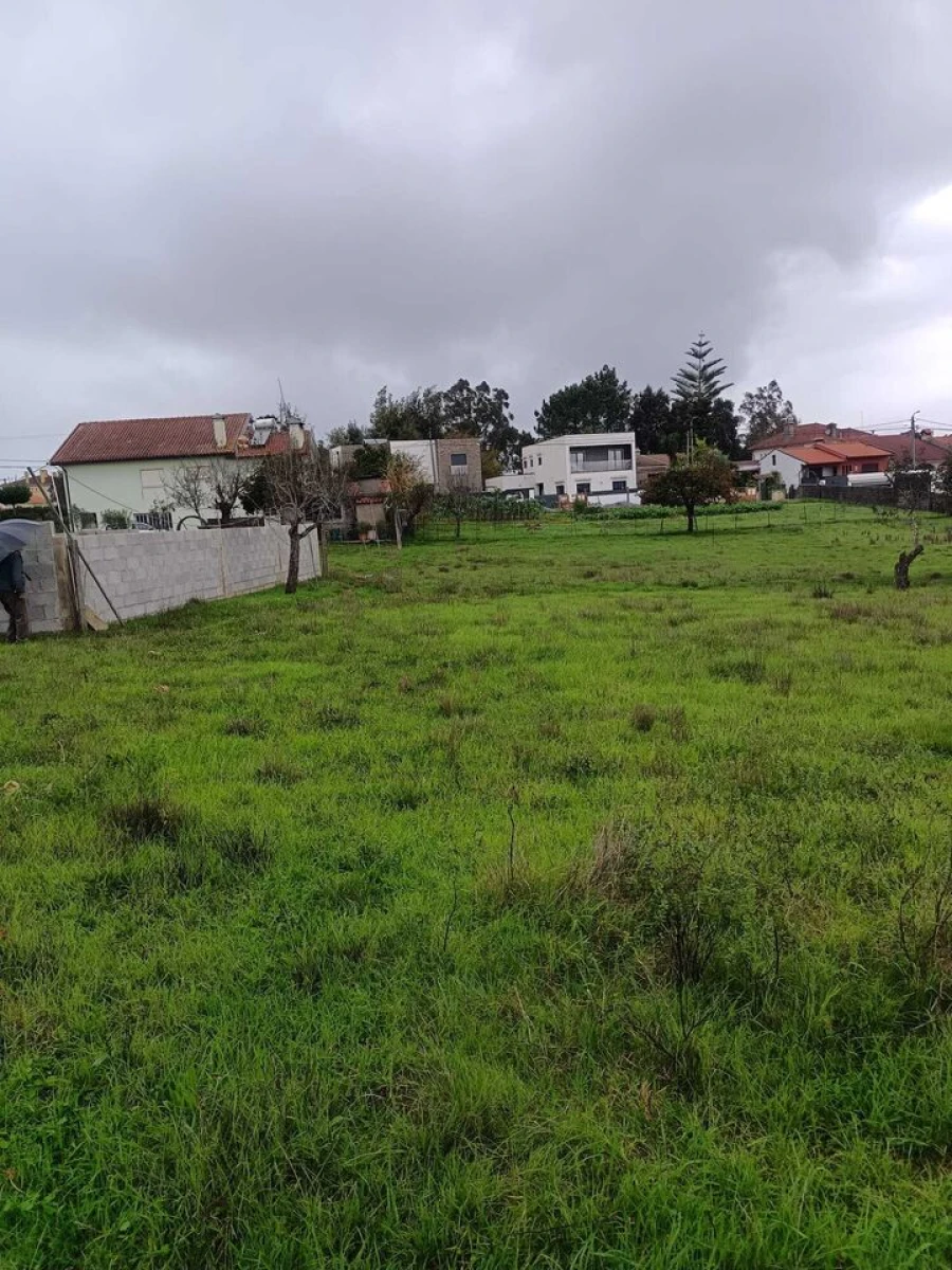 Terreno para Venda em Albergaria-A-Velha e Valmaior Foto 3